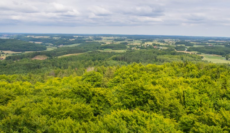 Kashubian National Park <span>1 day tour from Gdansk</span> - 6 - Wroclaw Tours